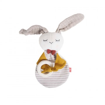 Anneau de dentition Lapin...